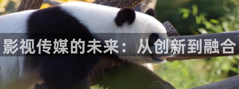 6080新视觉电影免费上线：影视传媒的未来：从创新到融合