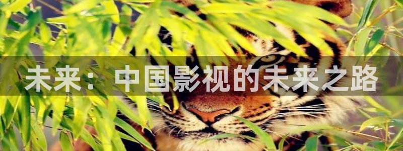 6080新视觉理论午夜：未来：中国影视的未来之路