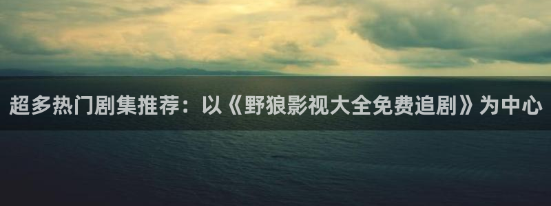 6080新视觉免费观看：超多热门剧集推荐：以《野狼影视大全免费追剧》为中心