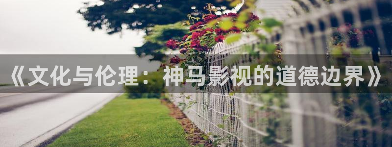 6080伦理新视觉：《文化与伦理：神马影视的道德边界》