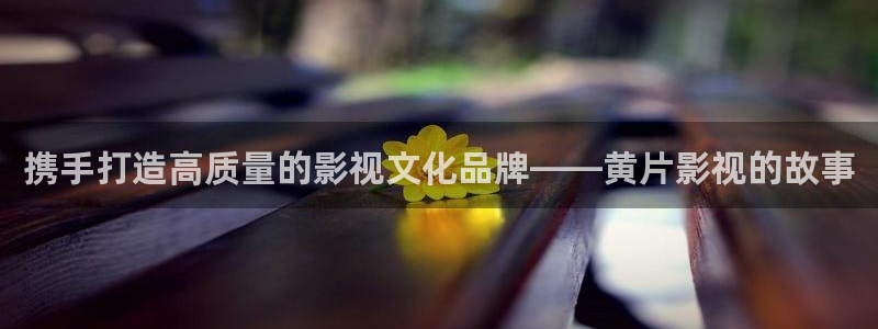 6080yy新视觉影院理论