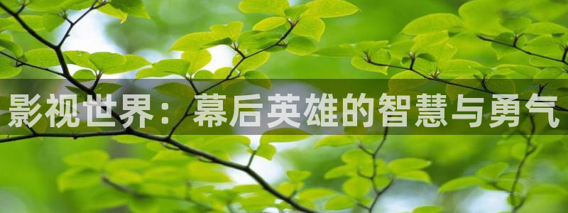 上海新视觉